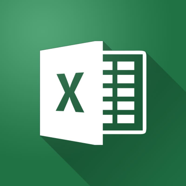 MS Excel for Project Management